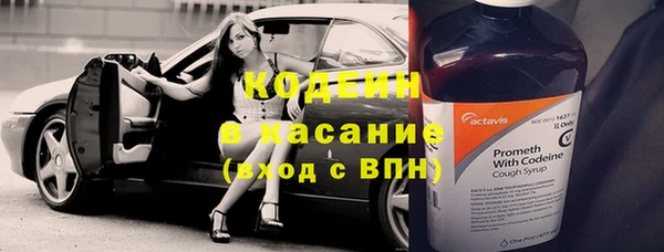 дурь Алексин