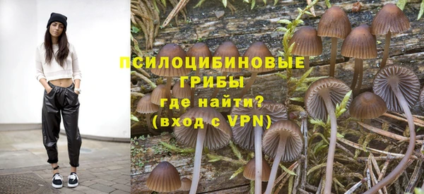 дмт Семилуки