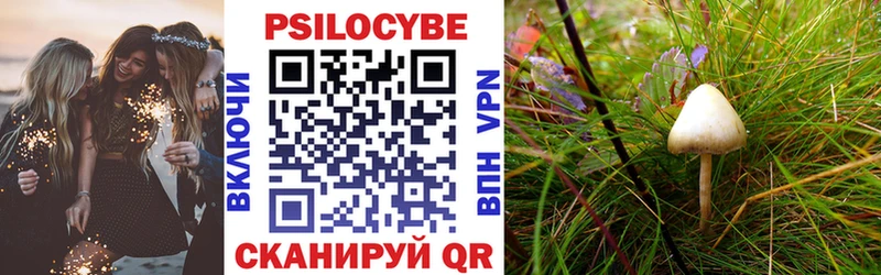 Галлюциногенные грибы MAGIC MUSHROOMS  дарнет шоп  Калининск 